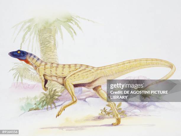 Illustration of Lesothosaurus