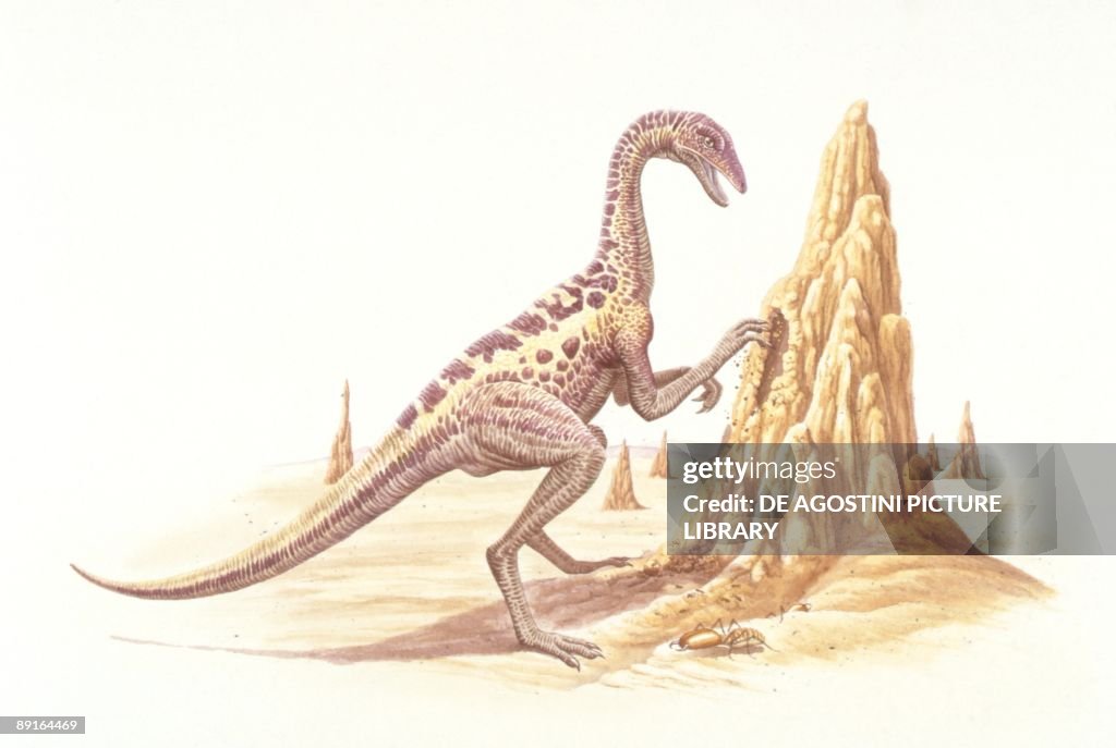 Illustration representing Anserimimus at termite mound