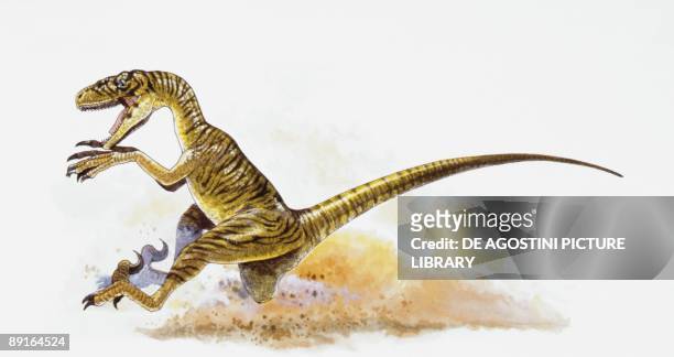 Illustration of Deinonychus running