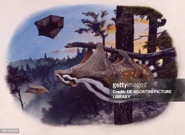 Illustration representing Planetetherium hanging on tree