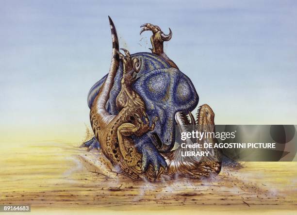 Illustration of Fight between Velociraptor and Protocaratops