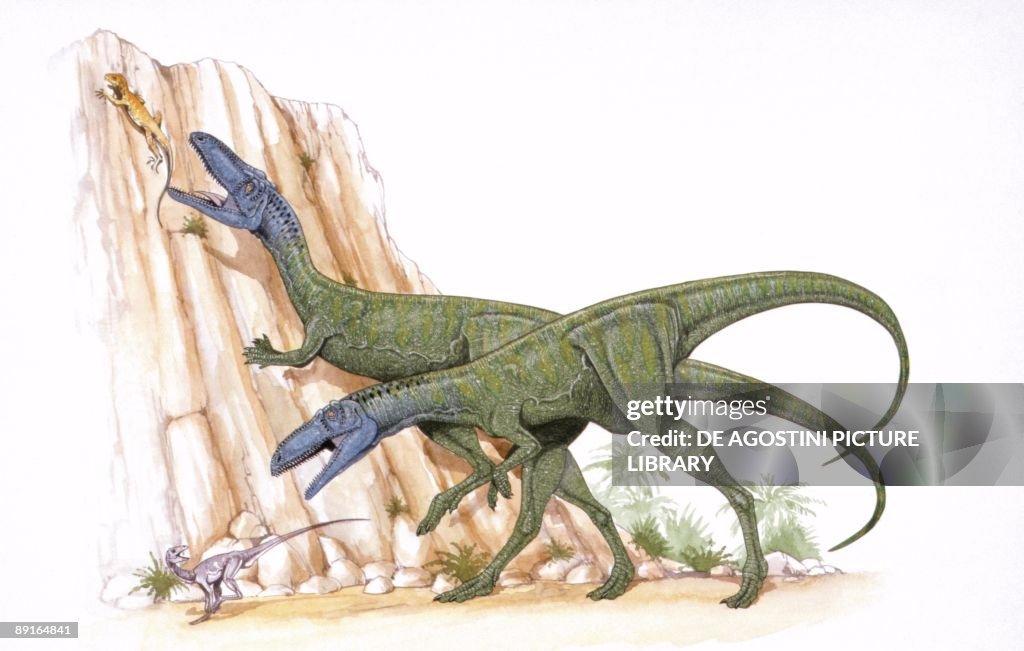 Illustration of Herrerasaurus