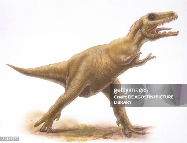 Illustration representing Albertosaurus