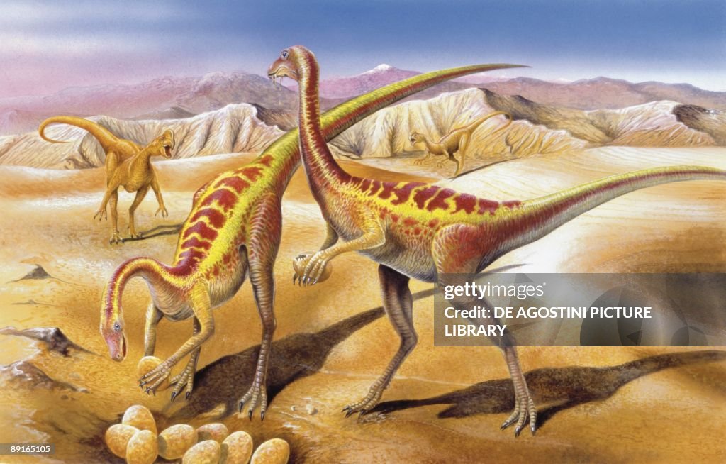 Illustration of Anserimimus by nest