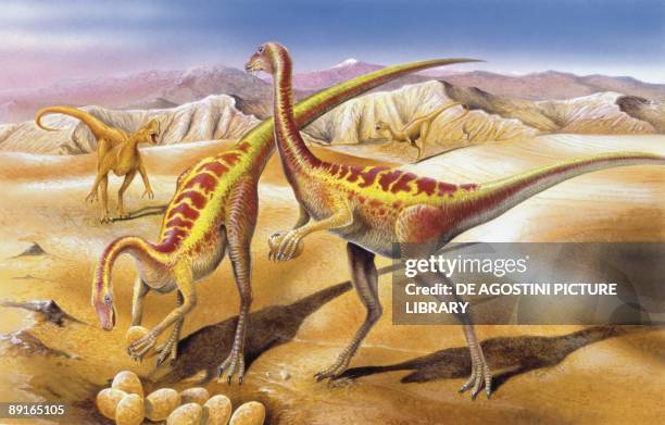 Illustration of Anserimimus by nest