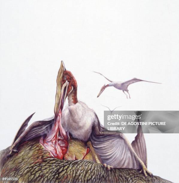 Illustration of Quetzalcoatlus ripping flesh off dead animal