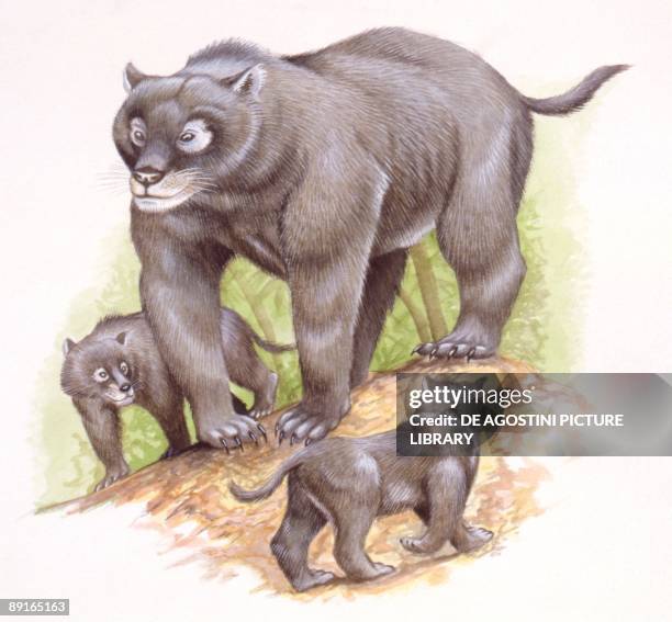 24 Oligocene Period Photos and Premium High Res Pictures - Getty Images 24 Oligocene Period Photos and Premium High Res Pictures - Getty Images