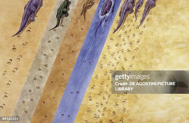 Illustration of Dinosaur tracks, elevated view
