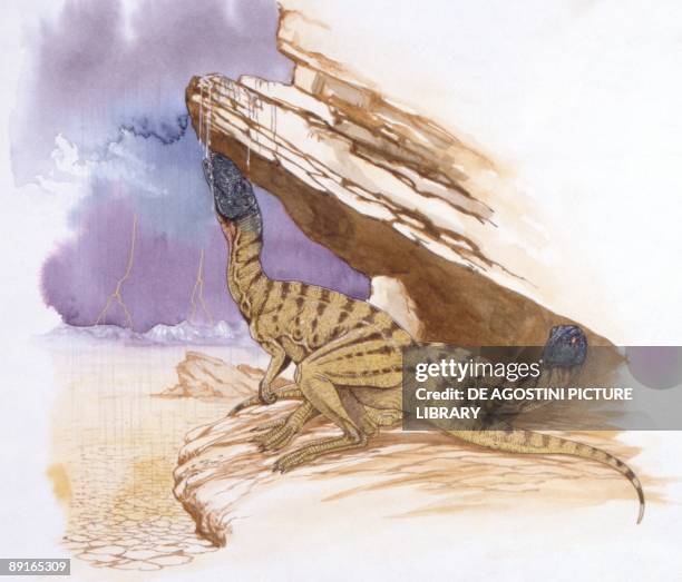 Illustration of Lesothosaurus underk rock ledge