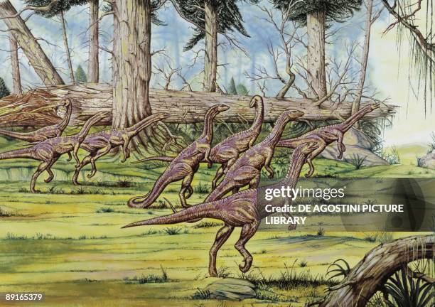 Illustration of Coelophysis herd in forest