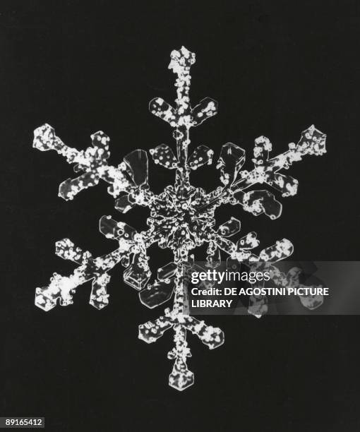 Snowflake Structure Microscope 65 Snowflakes Microscope Stock Photos, High-Res Pictures, and Images ...