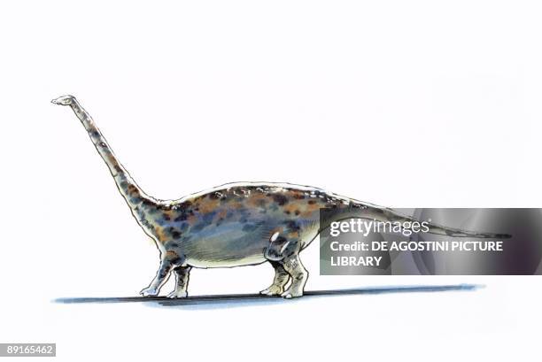 Illustration of Barapasaurus - artwork
