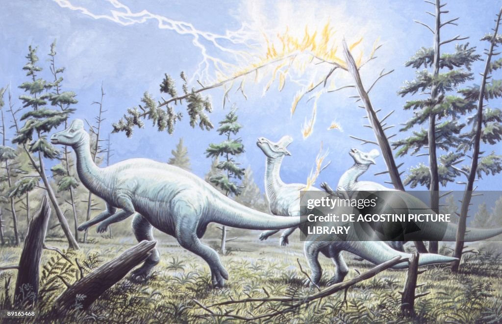 Illustration of three Lambeosauruses near tree beeing struck by lightning