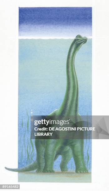 Illustration of Brachiosaurus underwater