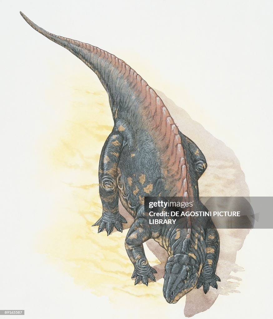 Illustration of Lotosaurus, elevated view