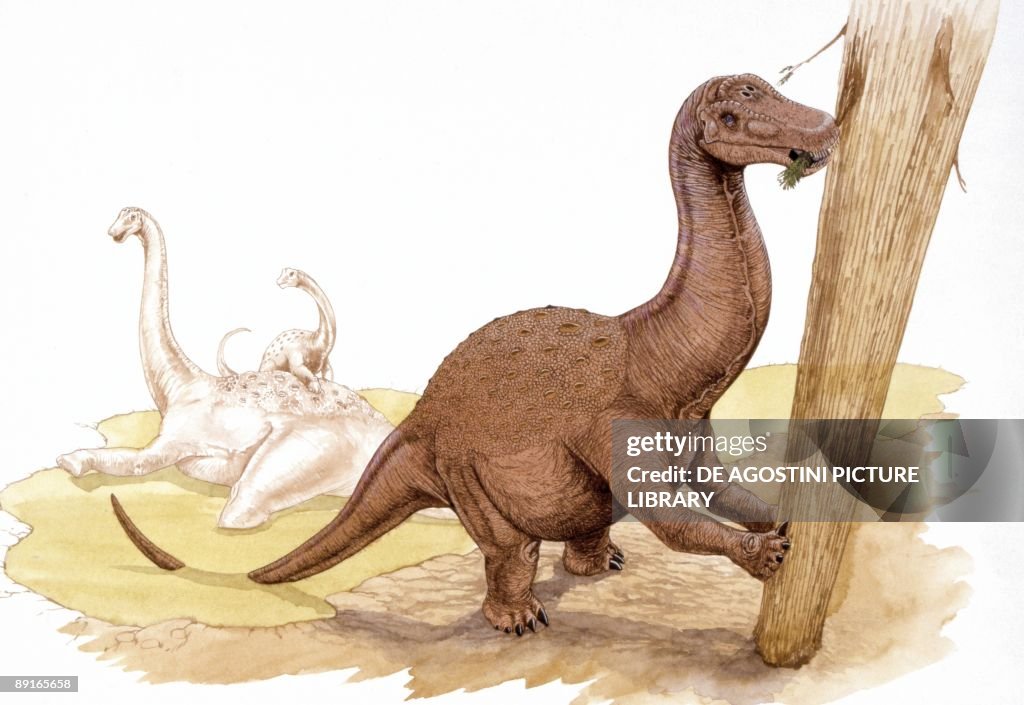 Illustration of Saltasaurus