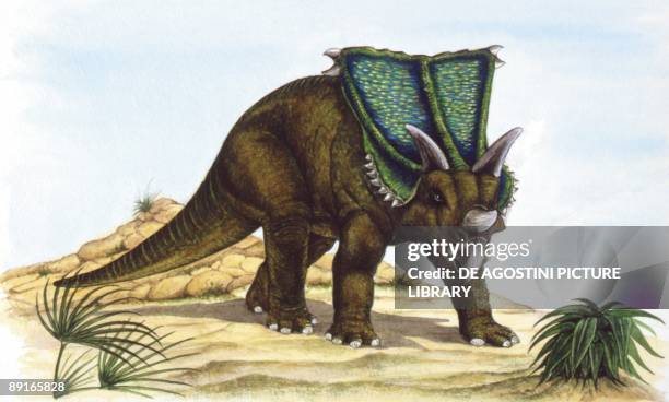 Illustration of Chasmosaurus