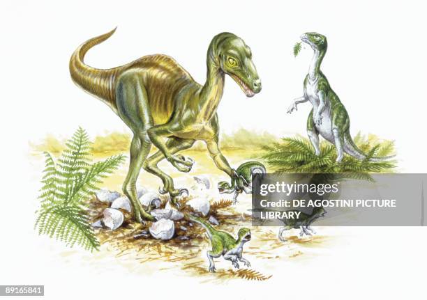 Illustration of Troodon catching young dinosaurs from nest
