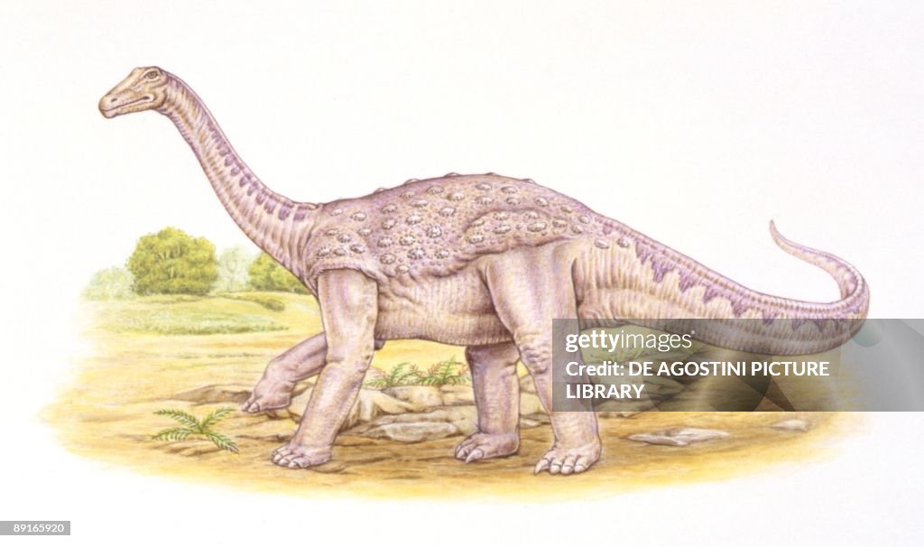 Illustration of Saltasaurus