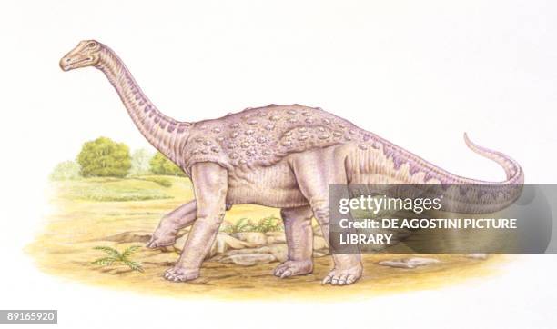 Saltasaurus Tooth Titanosaurus Photos and Premium High Res Pictures - Getty Images