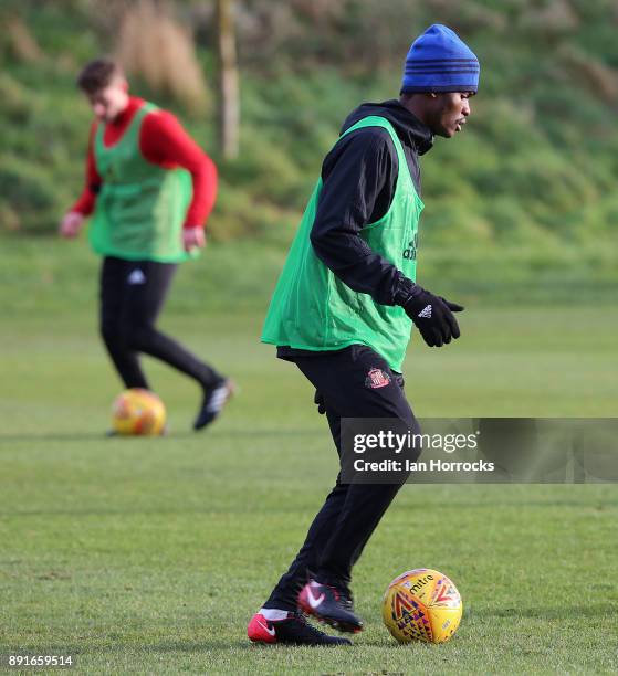 Didier N'Dong during a Sunderland training session at The Academy of Light on December 13, 2017 in Sunderland, England.