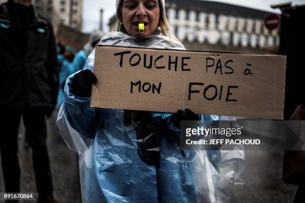Woman holds a placard reading "Don't touch my liver" as employees of the Lyon Croix Rousse hospital demonstrate on December 13, 2017 in Lyon, to...