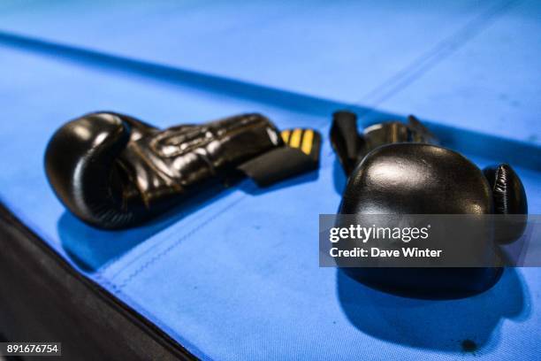 Boxing paraphernalia at INSEP on December 12, 2017 in Vincennes, France.