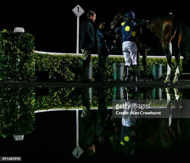 Jamie Spencer riding Highbrow are reflected in a puddle in the winners enclosure after winning The Matchbook VIP Novice Stakes at Kempton racecourse...