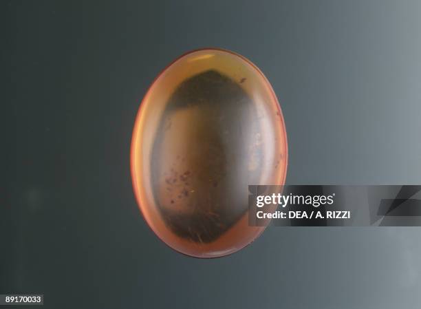 Amber Ruvolis 1,498 Amber Orange Stock Photos, High-Res Pictures, and Images - Getty ...