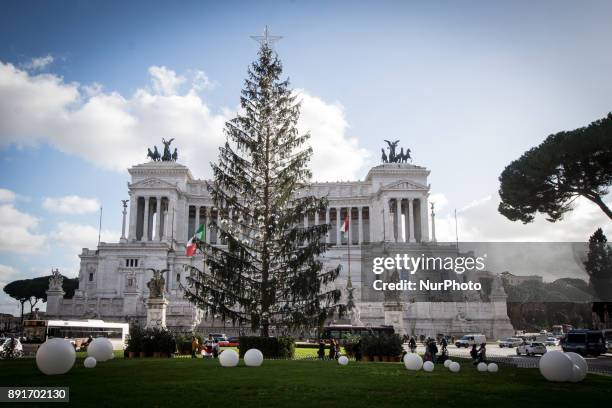 The controversy continues over Spelacchio, the Christmas tree of Piazza Venezia in Rome, as the Romans nicknamed it. The poor fir tree does not...