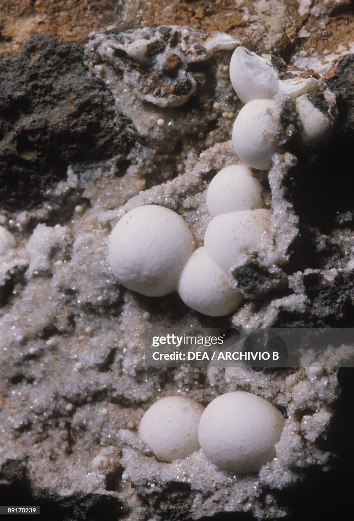 Mesolite and Phillipsite