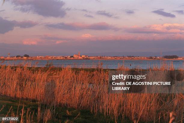 Italy - Sardinia Region - in the vicinity of Oristano - Santa Giusta pond