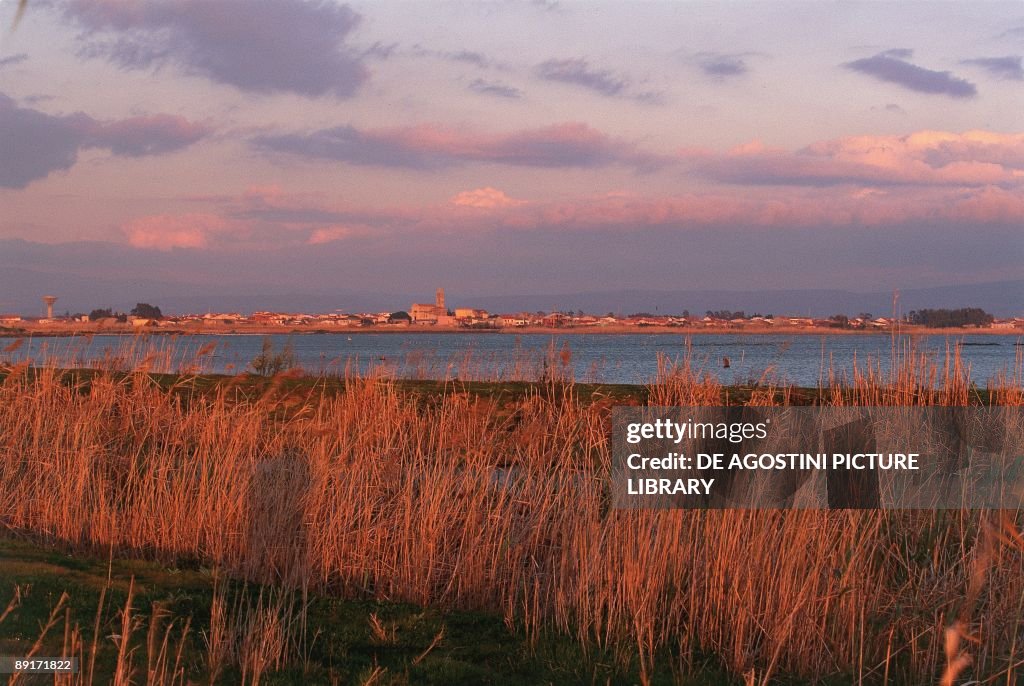 Italy - Sardinia Region - in the vicinity of Oristano - Santa Giusta pond