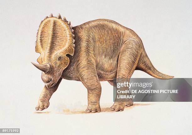 Side profile of a centrosaurus dinosaur, News Photo