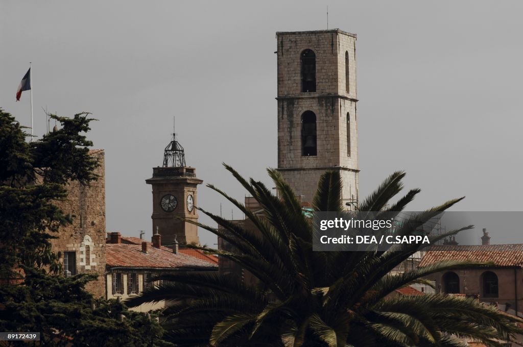 Palm tree in front of a bell tower, Grasse, Provence-Alpes-Cote D'azur, France