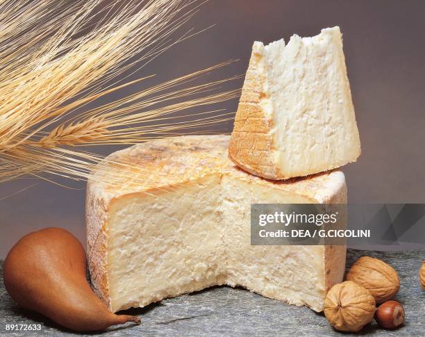 Cheesesticks Rotten 95 Rotten Cheese Stock Photos, High-Res Pictures, and Images - Getty Images