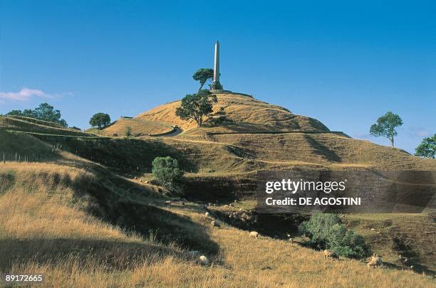 Low angle view of the summit of a hill, Auckland, New Zealand