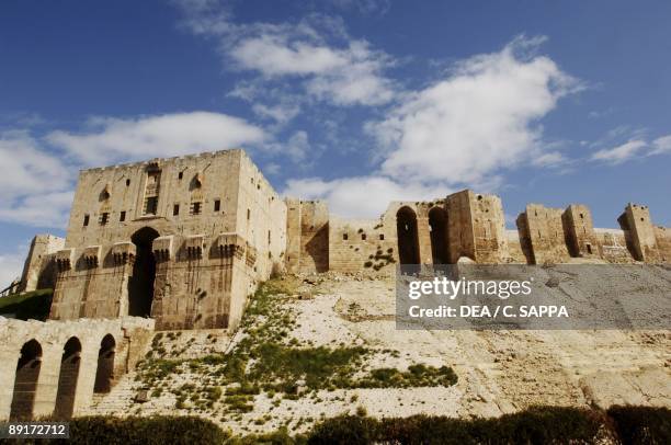 Syria - Aleppo . Historical Aleppo. UNESCO World Heritage List, 1986. Citadel, 13th century