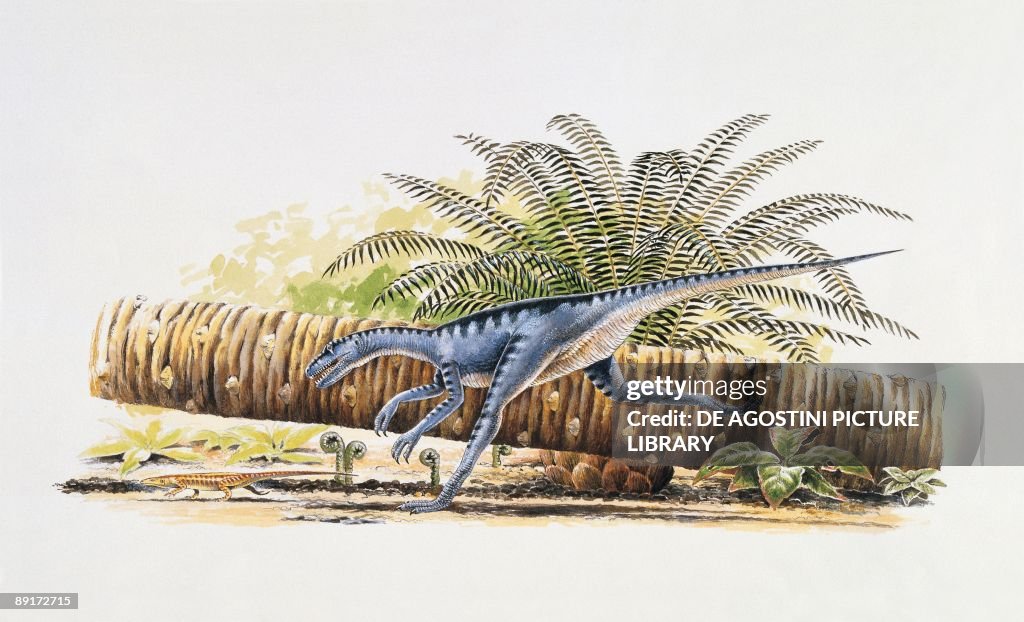 Eoraptor running in the forest
