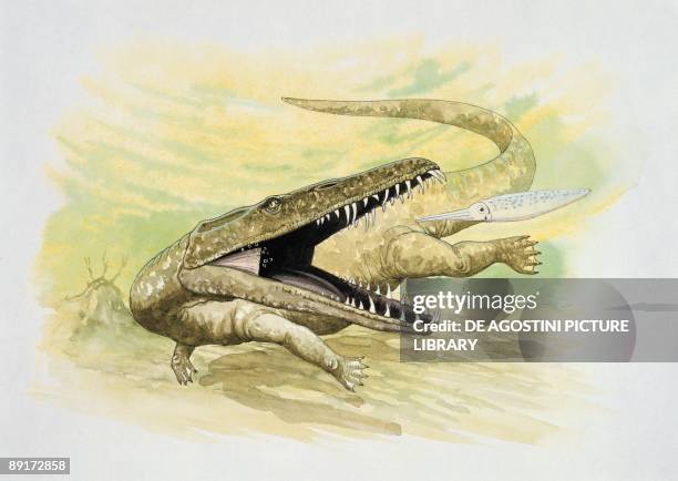 Nothosaurus hunting fish