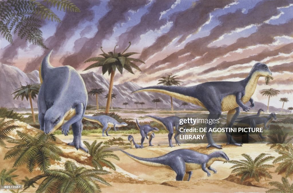 Illustration of Herd of Dysalotosaurus (Dryosaurus) at sunset