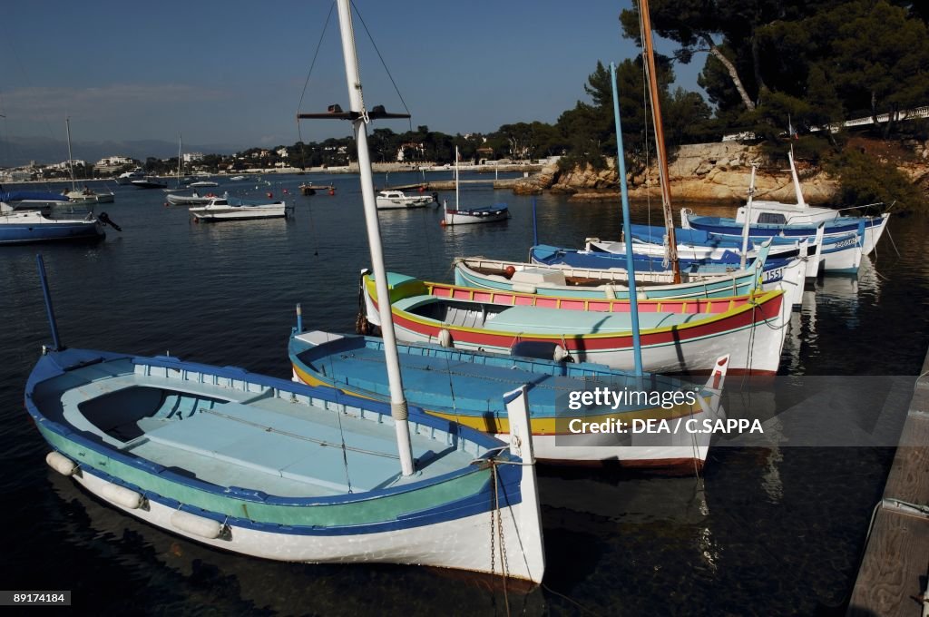 Moored boats in a harbor, Alpes-Maritimes, France