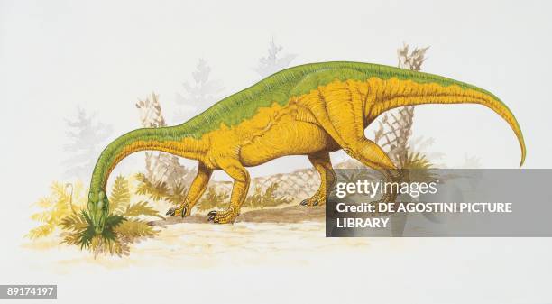 Anchisaurus eating plants