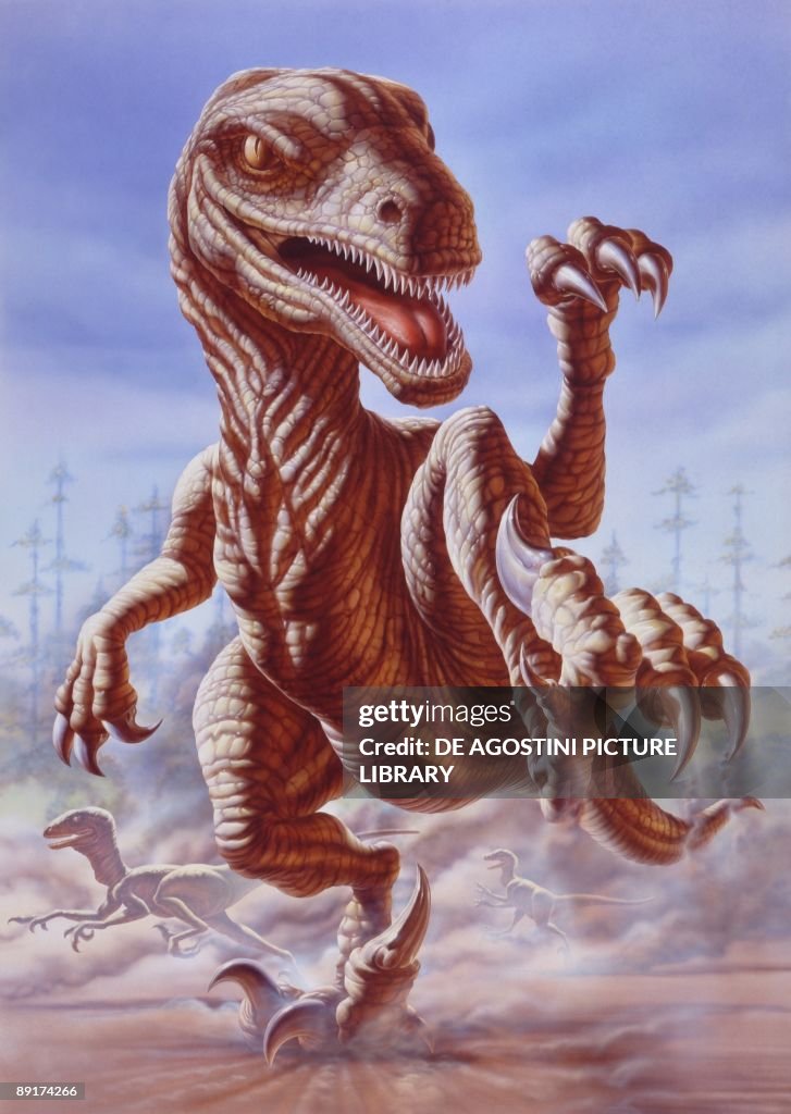 Illustration representing Deinonychus