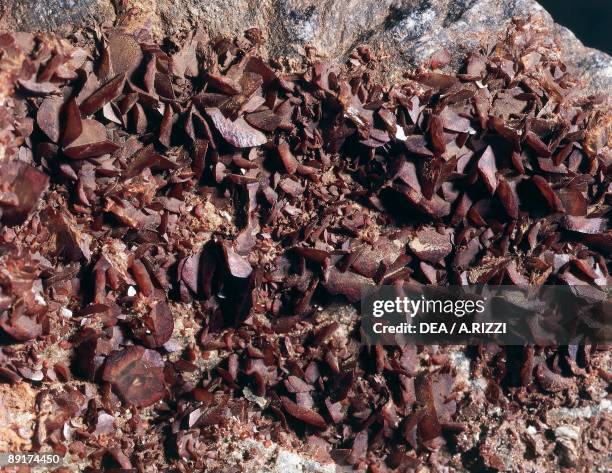 Close-up of a lenticular brown siderite rock