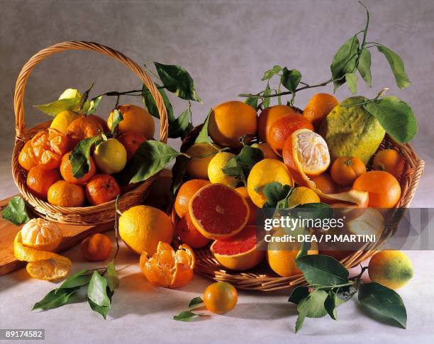 Close-up of various of citrus fruits in baskets