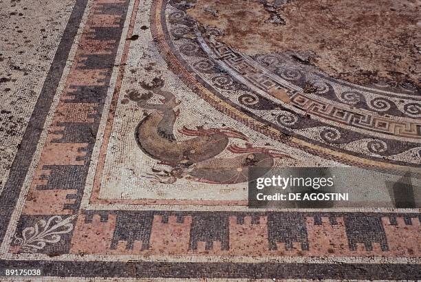 High angle view of a mosaic floor, House Of The Dolphins, Delos, Cyclades Islands, Southern Aegean, Greece