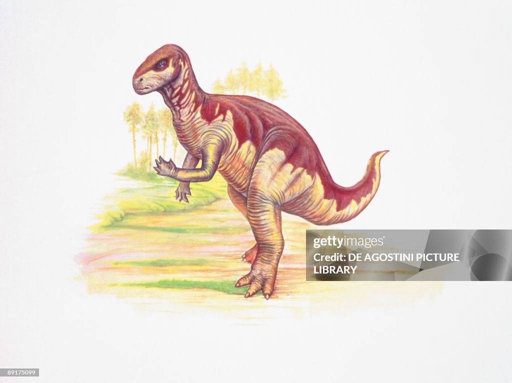Side profile of a camptosaurus