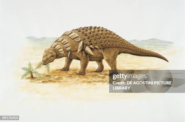Side profile of an edmontonia dinosaur eating a plant