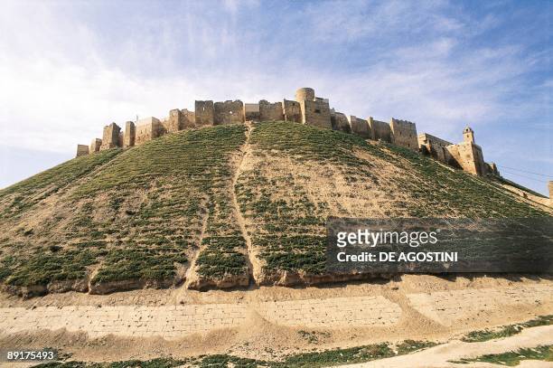 Low angle view of a citadel on top of a hill, Aleppo, Syria